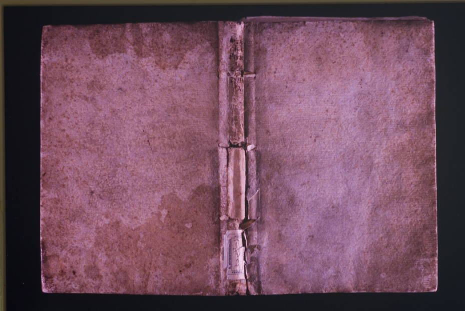 Venezia, Soprintendenza Speciale per il Patrimonio Storico Artistico Etnoantropologico e per il Polo Museale della città di Venezia e dei comuni della gronda lagunare, D.III.2
icpal_09625
Keywords: 1191/1987, 1191.4/1987, Sopr. SPSAE VE e gronda lagunare D.III.2, Sopr. SPSAE VE e gronda lagunare