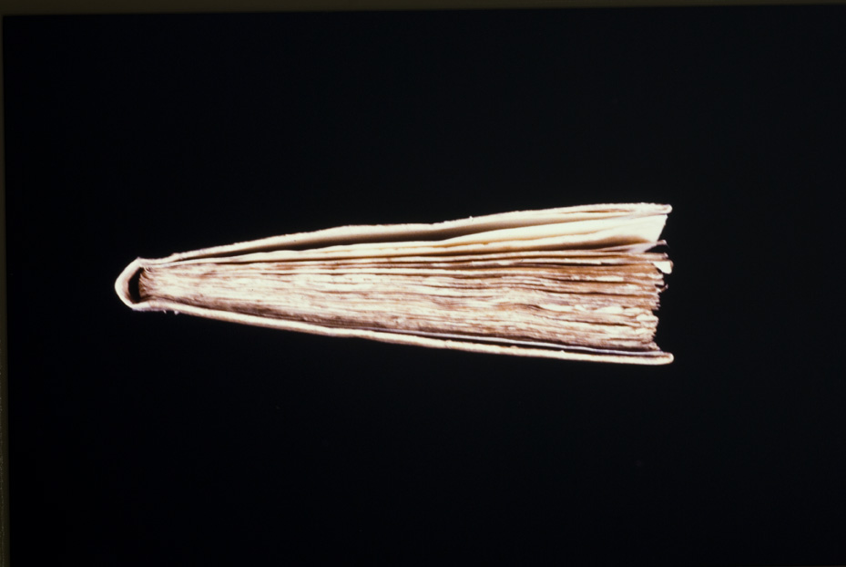 Venezia, Soprintendenza Speciale per il Patrimonio Storico Artistico Etnoantropologico e per il Polo Museale della città di Venezia e dei comuni della gronda lagunare, D.III.2
icpal_09912
Keywords: 1191/1987, 1191.4/1987, Sopr. SPSAE VE e gronda lagunare D.III.2, Sopr. SPSAE VE e gronda lagunare