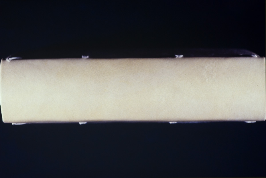 Venezia, Soprintendenza Speciale per il Patrimonio Storico Artistico Etnoantropologico e per il Polo Museale della città di Venezia e dei comuni della gronda lagunare, R.14
icpal_17813
Keywords: 1191/1987, 1191.1/1987, Sopr. SPSAE VE e gronda lagunare R.14, Sopr. SPSAE VE e gronda lagunare