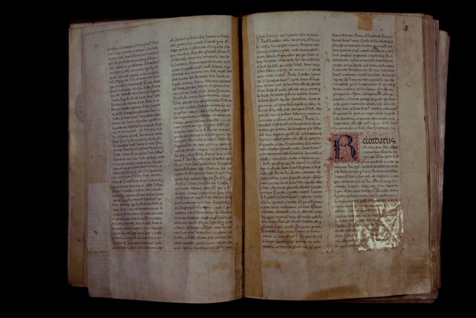 Assisi, Biblioteca Porziuncola, Ms. 3 - La Franceschina
icpal_16087
Keywords: 1195/1988, 1195.1/1988, B Porziuncola Ms. 3 - La Franceschina, B Porziuncola