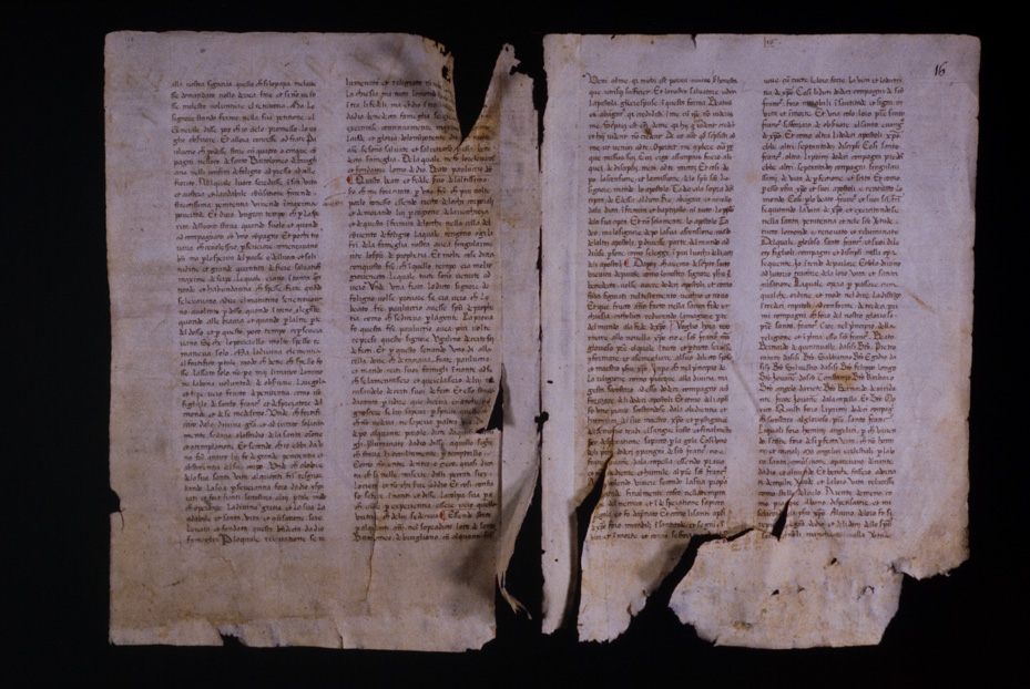 Assisi, Biblioteca Porziuncola, Ms. 3 - La Franceschina
icpal_16091
Keywords: 1195/1988, 1195.1/1988, B Porziuncola Ms. 3 - La Franceschina, B Porziuncola