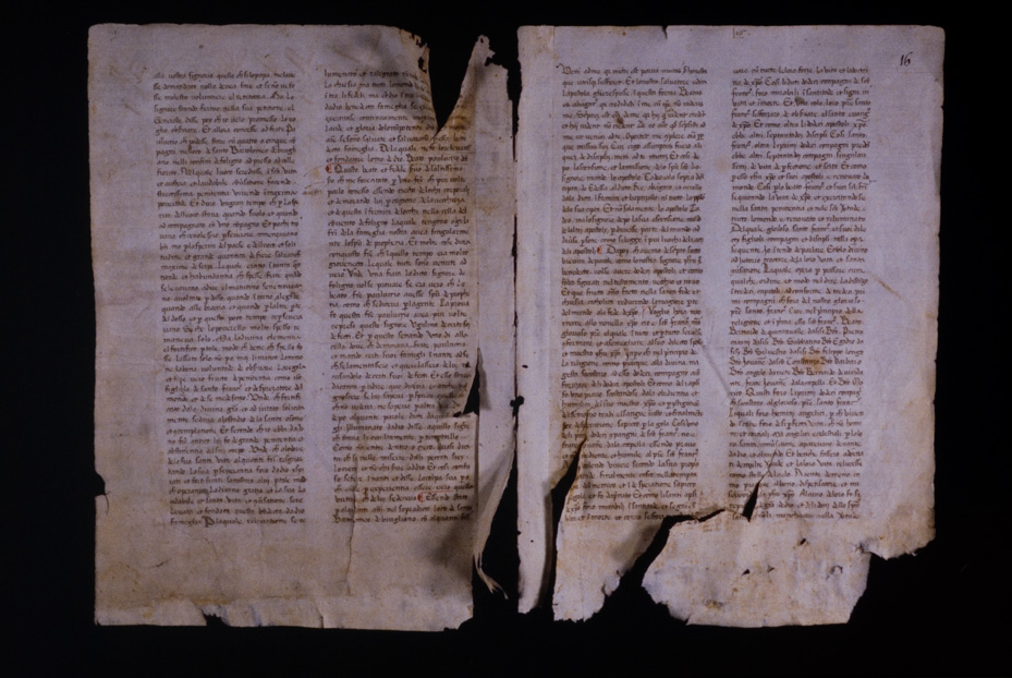 Assisi, Biblioteca Porziuncola, Ms. 3 - La Franceschina
icpal_16092
Keywords: 1195/1988, 1195.1/1988, B Porziuncola Ms. 3 - La Franceschina, B Porziuncola