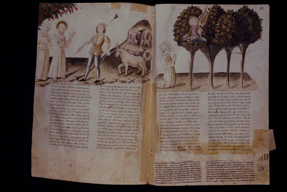 Assisi, Biblioteca Porziuncola, Ms. 3 - La Franceschina
icpal_16113
Keywords: 1195/1988, 1195.1/1988, B Porziuncola Ms. 3 - La Franceschina, B Porziuncola