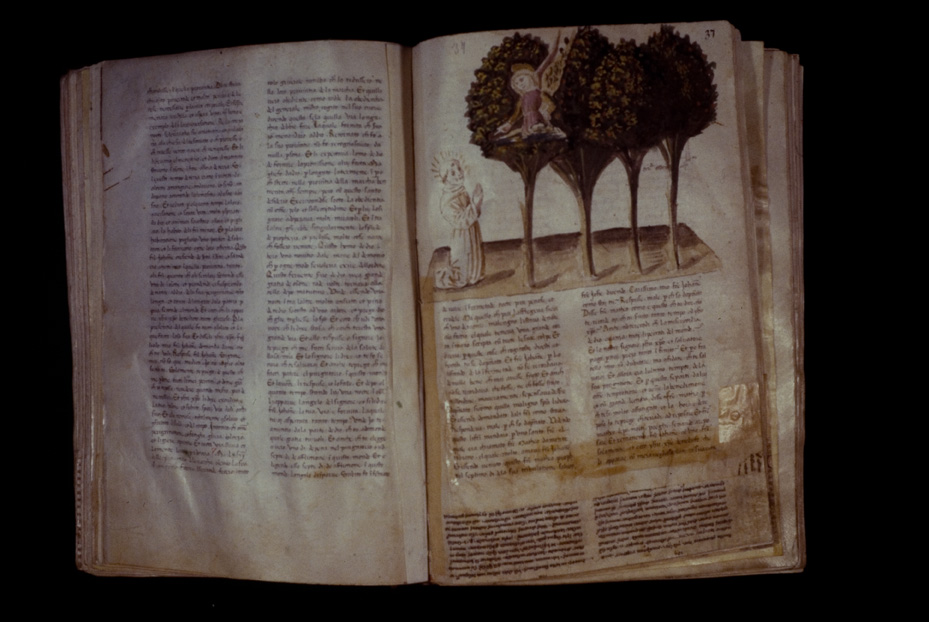 Assisi, Biblioteca Porziuncola, Ms. 3 - La Franceschina
icpal_16114
Keywords: 1195/1988, 1195.1/1988, B Porziuncola Ms. 3 - La Franceschina, B Porziuncola
