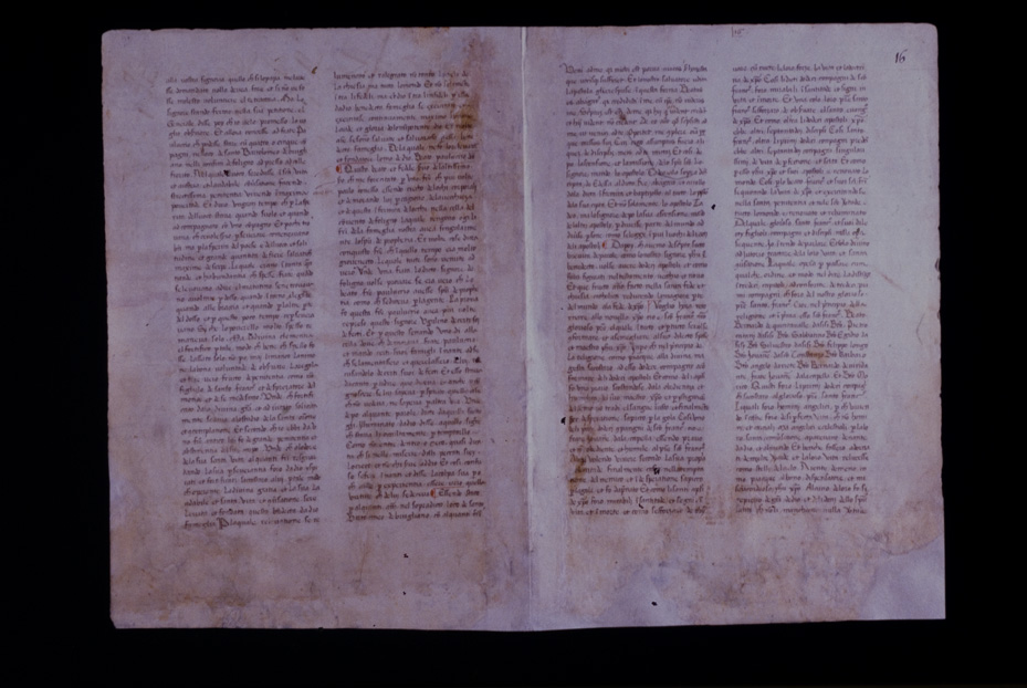 Assisi, Biblioteca Porziuncola, Ms. 3 - La Franceschina
icpal_16171
Keywords: 1195/1988, 1195.1/1988, B Porziuncola Ms. 3 - La Franceschina, B Porziuncola