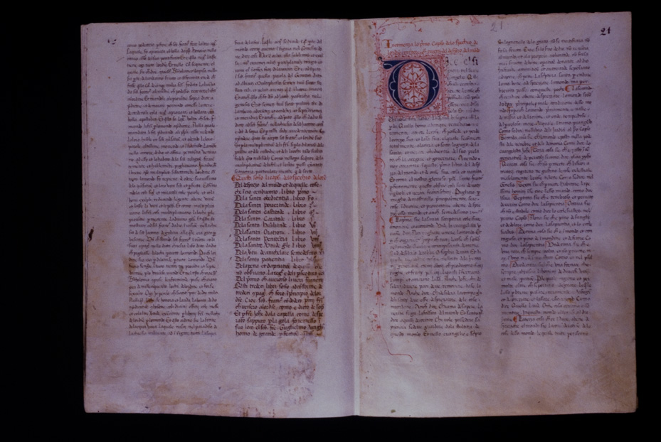 Assisi, Biblioteca Porziuncola, Ms. 3 - La Franceschina
icpal_16178
Keywords: 1195/1988, 1195.1/1988, B Porziuncola Ms. 3 - La Franceschina, B Porziuncola