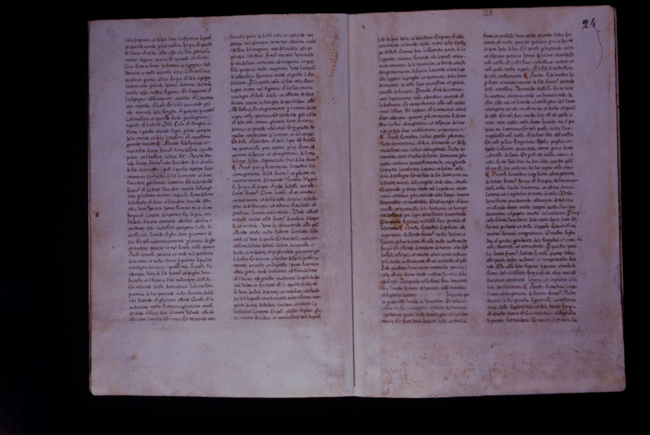 Assisi, Biblioteca Porziuncola, Ms. 3 - La Franceschina
icpal_16180
Keywords: 1195/1988, 1195.1/1988, B Porziuncola Ms. 3 - La Franceschina, B Porziuncola