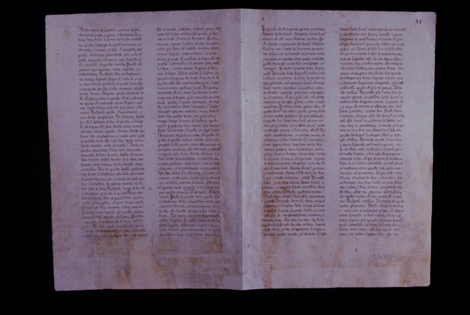 Assisi, Biblioteca Porziuncola, Ms. 3 - La Franceschina
icpal_16185
Keywords: 1195/1988, 1195.1/1988, B Porziuncola Ms. 3 - La Franceschina, B Porziuncola