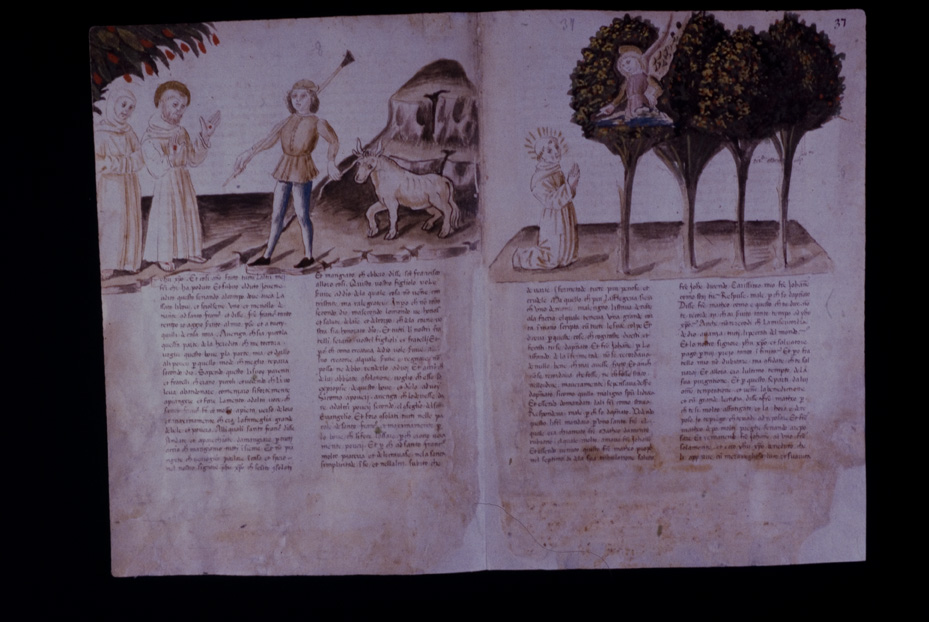 Assisi, Biblioteca Porziuncola, Ms. 3 - La Franceschina
icpal_16193
Keywords: 1195/1988, 1195.1/1988, B Porziuncola Ms. 3 - La Franceschina, B Porziuncola
