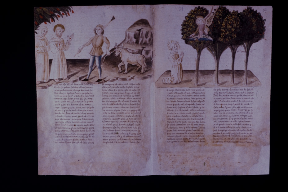 Assisi, Biblioteca Porziuncola, Ms. 3 - La Franceschina
icpal_16194
Keywords: 1195/1988, 1195.1/1988, B Porziuncola Ms. 3 - La Franceschina, B Porziuncola