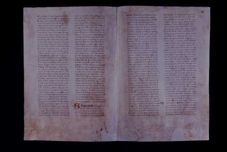 Assisi, Biblioteca Porziuncola, Ms. 3 - La Franceschina
icpal_16199
Keywords: 1195/1988, 1195.1/1988, B Porziuncola Ms. 3 - La Franceschina, B Porziuncola