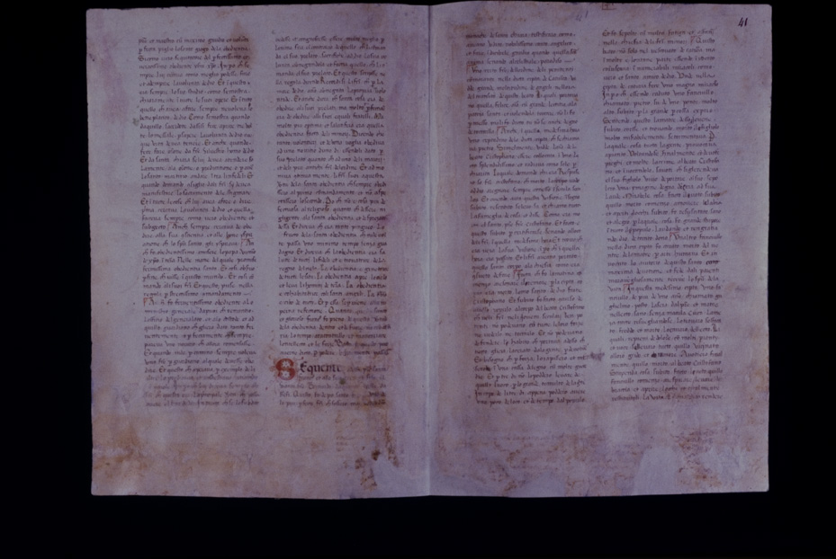 Assisi, Biblioteca Porziuncola, Ms. 3 - La Franceschina
icpal_16200
Keywords: 1195/1988, 1195.1/1988, B Porziuncola Ms. 3 - La Franceschina, B Porziuncola