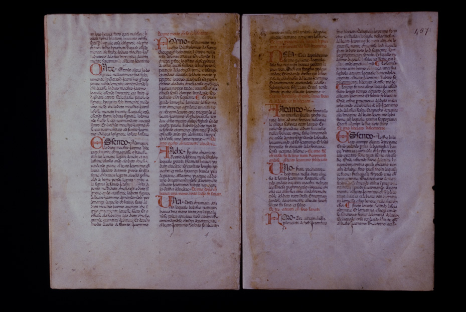 Assisi, Biblioteca Porziuncola, Ms. 3 - La Franceschina
icpal_16249
Keywords: 1195/1988, 1195.1/1988, B Porziuncola Ms. 3 - La Franceschina, B Porziuncola