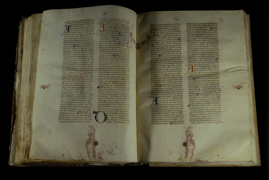 Assisi, Biblioteca Porziuncola, Ms. D.16
icpal_19542
Keywords: 1195/1988, 1195.2/1988, B Porziuncola Ms. D.16, B Porziuncola
