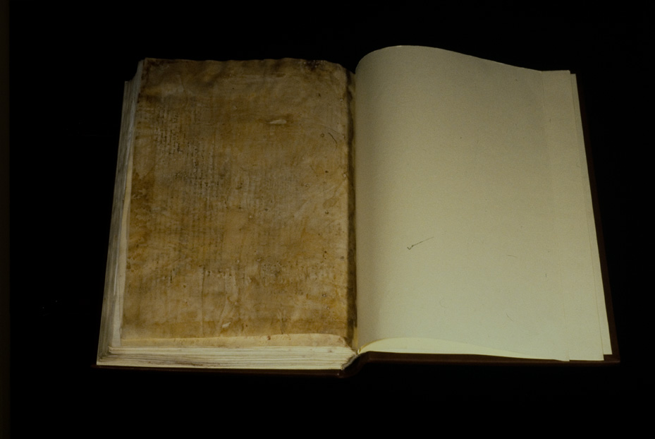Assisi, Biblioteca Porziuncola, Ms. D.16
icpal_21460
Keywords: 1195/1988, 1195.2/1988, B Porziuncola Ms. D.16, B Porziuncola