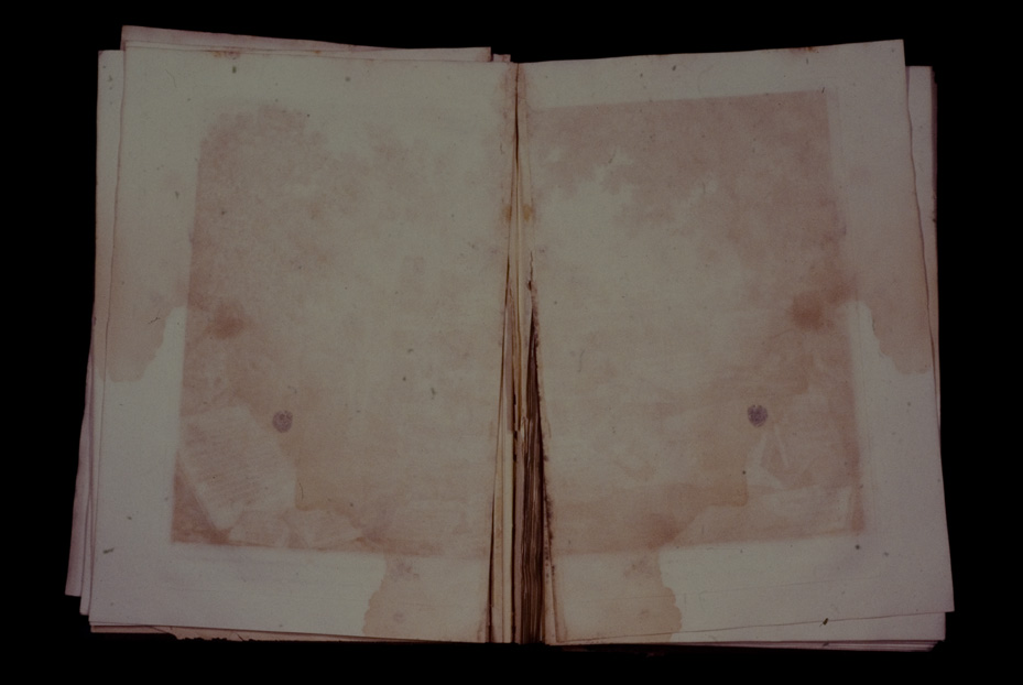 Terni, Biblioteca Comunale, St. 8 (Inv. 2763)
icpal_18781
Keywords: 1242/1989, 1242.5/1989, BCom Terni St. 8 (Inv. 2763), BCom Terni