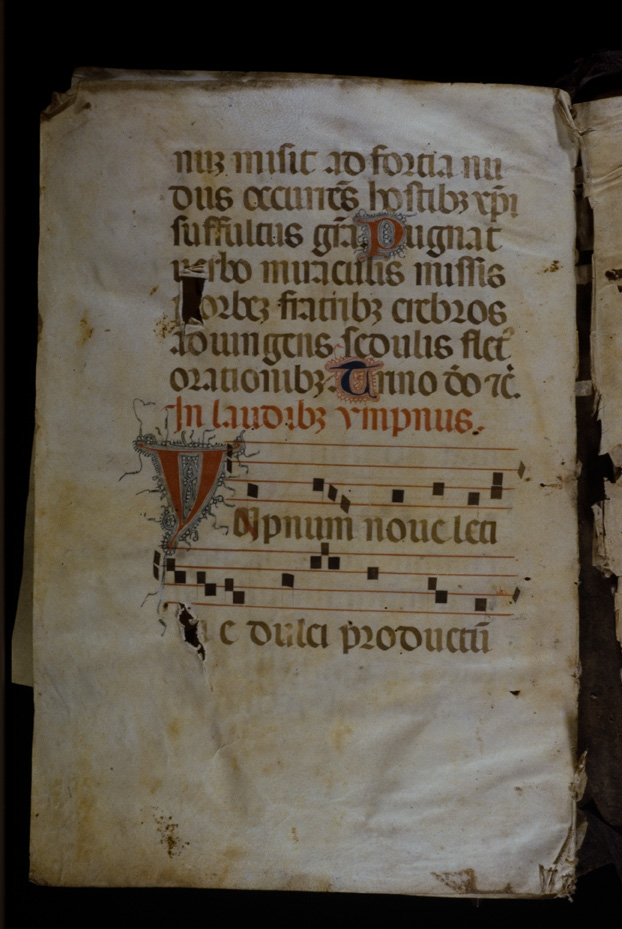 Viterbo, Biblioteca Comunale degli Ardenti, Sala V.V.XI.4
icpal_18520
Keywords: 1250/1989, 1250.2/1989, Ardenti Sala V.V.XI.4, Ardenti