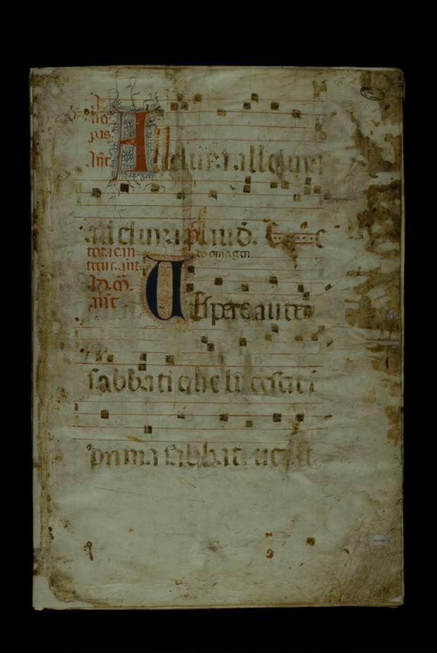 Viterbo, Biblioteca Comunale degli Ardenti, Sala V.V.XI.4
icpal_18534
Keywords: 1250/1989, 1250.2/1989, Ardenti Sala V.V.XI.4, Ardenti