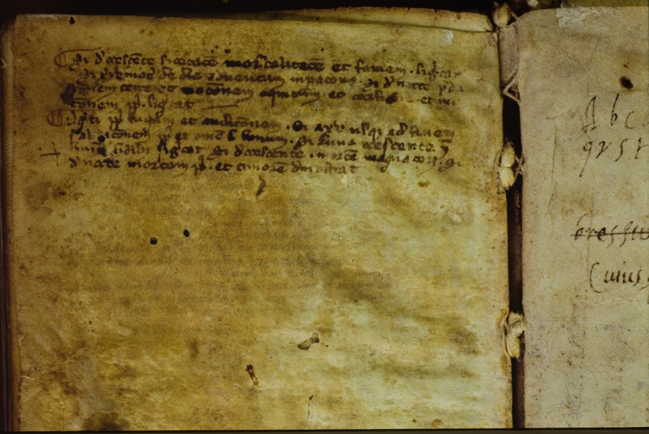 Napoli, Biblioteca Nazionale Vittorio Emanuele 3., Ms. VII.F.22
icpal_12773
Keywords: 1271/1990, 1271.3/1990, BNN Ms. VII.F.22, BNN