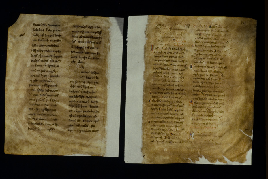 Codice degli ebdomadari, 13 sec. Napoli, Pontificia facoltà dell'Italia Meridionale Sezione San Tommaso
icpal_17803
Keywords: 1276/1990, Pont. Facoltà Sez. S. Tommaso Codice ebdomadari 13 sec., Pont. Facoltà Sez. S. Tommaso