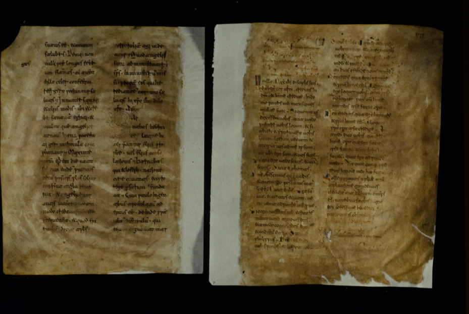 Codice degli ebdomadari, 13 sec. Napoli, Pontificia facoltà dell'Italia Meridionale Sezione San Tommaso
icpal_17804
Keywords: 1276/1990, Pont. Facoltà Sez. S. Tommaso Codice ebdomadari 13 sec., Pont. Facoltà Sez. S. Tommaso