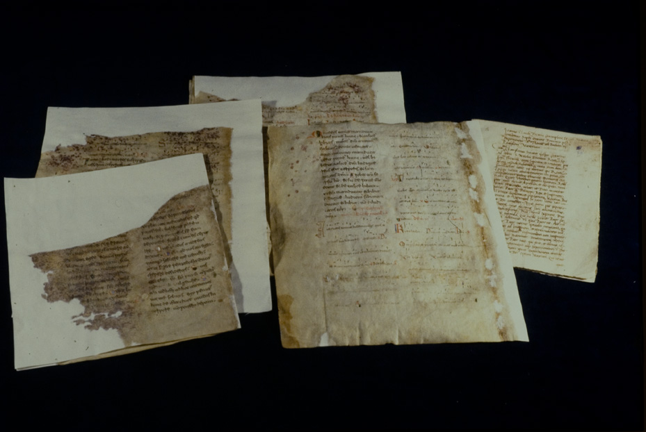 Codice degli ebdomadari, 13 sec. Napoli, Pontificia facoltà dell'Italia Meridionale Sezione San Tommaso
icpal_17806
Keywords: 1276/1990, Pont. Facoltà Sez. S. Tommaso Codice ebdomadari 13 sec., Pont. Facoltà Sez. S. Tommaso