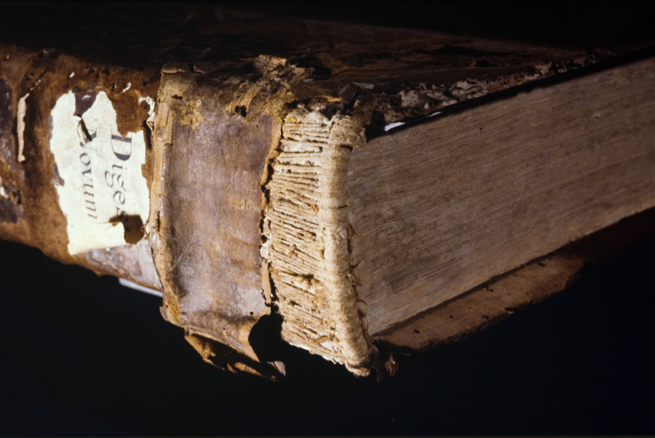 Cinqucentina “Digestum novum”. Nocera Umbra, Biblioteca diocesana Piervissani
icpal_18702
Keywords: 1278/1990, Piervissani Digestum novum 1539, Piervissani