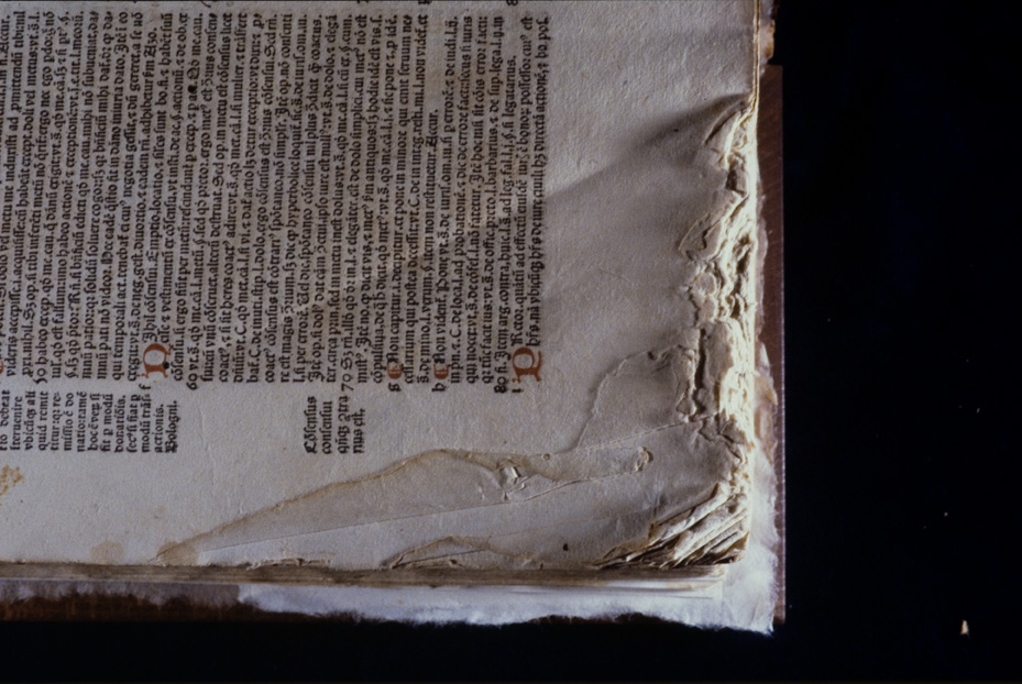 Cinqucentina “Digestum novum”. Nocera Umbra, Biblioteca diocesana Piervissani
icpal_18707
Keywords: 1278/1990, Piervissani Digestum novum 1539, Piervissani