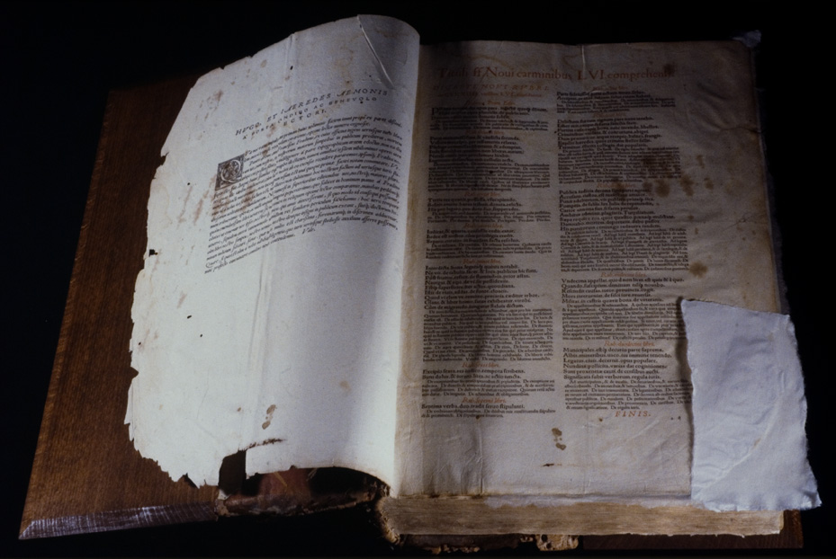 Cinqucentina “Digestum novum”. Nocera Umbra, Biblioteca diocesana Piervissani
icpal_18710
Keywords: 1278/1990, Piervissani Digestum novum 1539, Piervissani