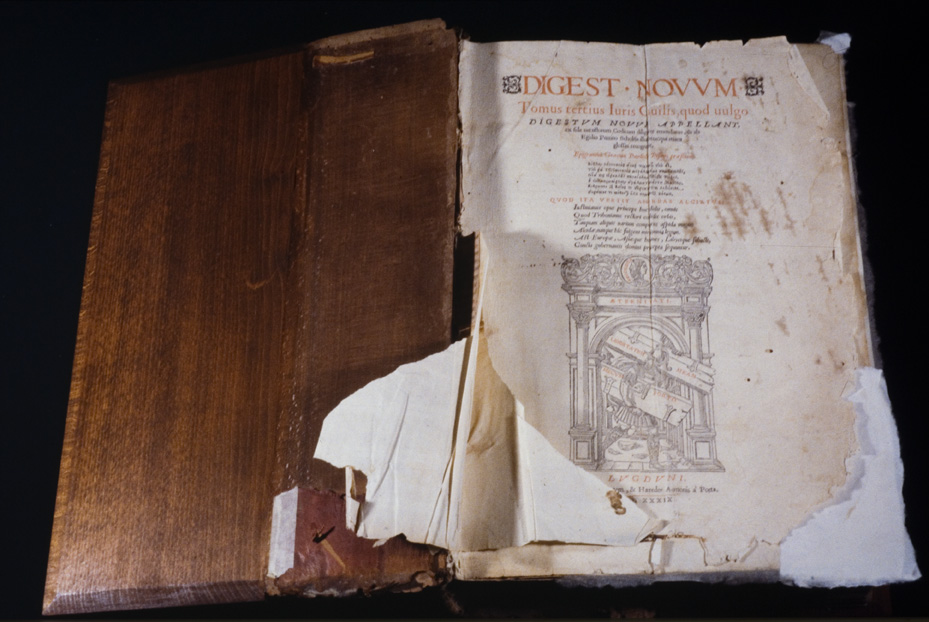 Cinqucentina “Digestum novum”. Nocera Umbra, Biblioteca diocesana Piervissani
icpal_18713
Keywords: 1278/1990, Piervissani Digestum novum 1539, Piervissani
