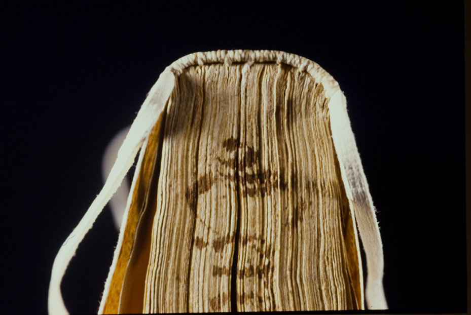 Roma, Biblioteca dell'Istituto storico domenicano, IL.SC.582
icpal_17651
Keywords: 1279/1990, 1279.1/1990, B Ist. Sto. Domenicano IL.SC.582, B Ist. Sto. Domenicano