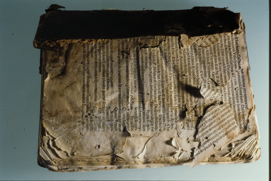 Penne, Biblioteca del Convento dei Frati minori di Colleromano, A.V.22 - IGI 7483
icpal_19565
Keywords: 1394/1993, 1394.1/1993, Penne B Conv. Frati Colleromano A.V.22, IGI 7483, Penne B Conv. Frati Colleromano