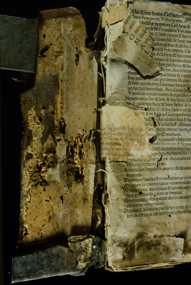 Penne, Biblioteca del Convento dei Frati minori di Colleromano, A.V.22 - IGI 7483
icpal_19807
Keywords: 1394/1993, 1394.1/1993, Penne B Conv. Frati Colleromano A.V.22, IGI 7483, Penne B Conv. Frati Colleromano