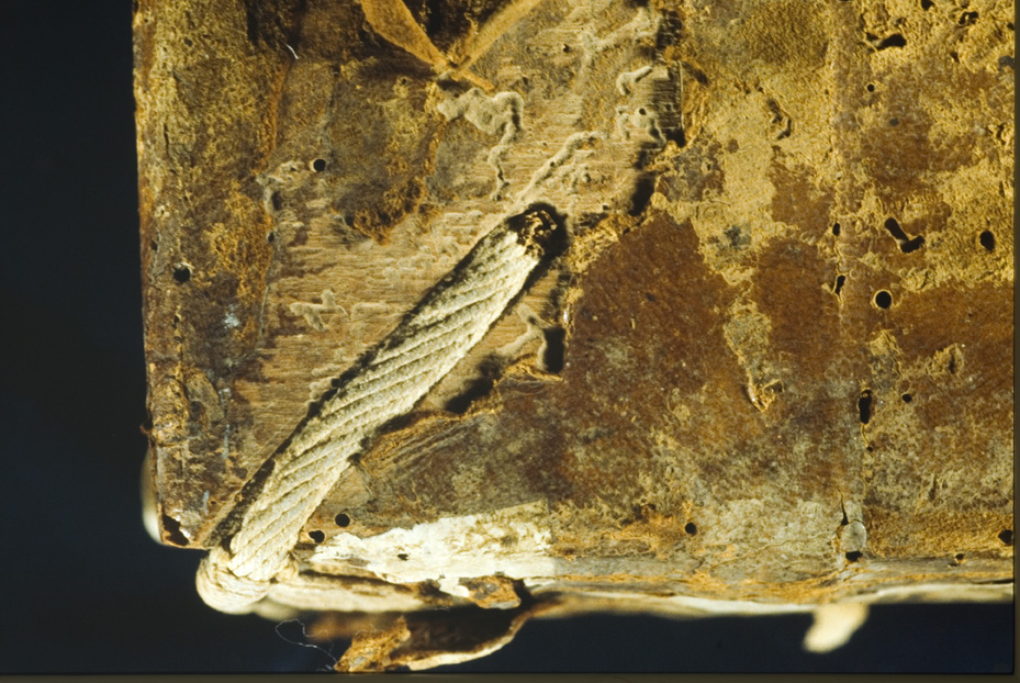 Penne, Biblioteca del Convento dei Frati minori di Colleromano, A.VI.3 - IGI 6836
icpal_19451
Keywords: 1394/1993, 1394.2/1993, Penne B Conv. Frati Colleromano A.VI.3, IGI 6836, Penne B Conv. Frati Colleromano