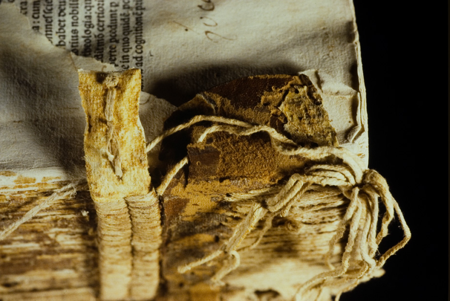 Penne, Biblioteca del Convento dei Frati minori di Colleromano, A.VI.4
icpal_19435
Keywords: 1394/1993, 1394.3/1993, Penne B Conv. Frati Colleromano A.VI.4, Penne B Conv. Frati Colleromano