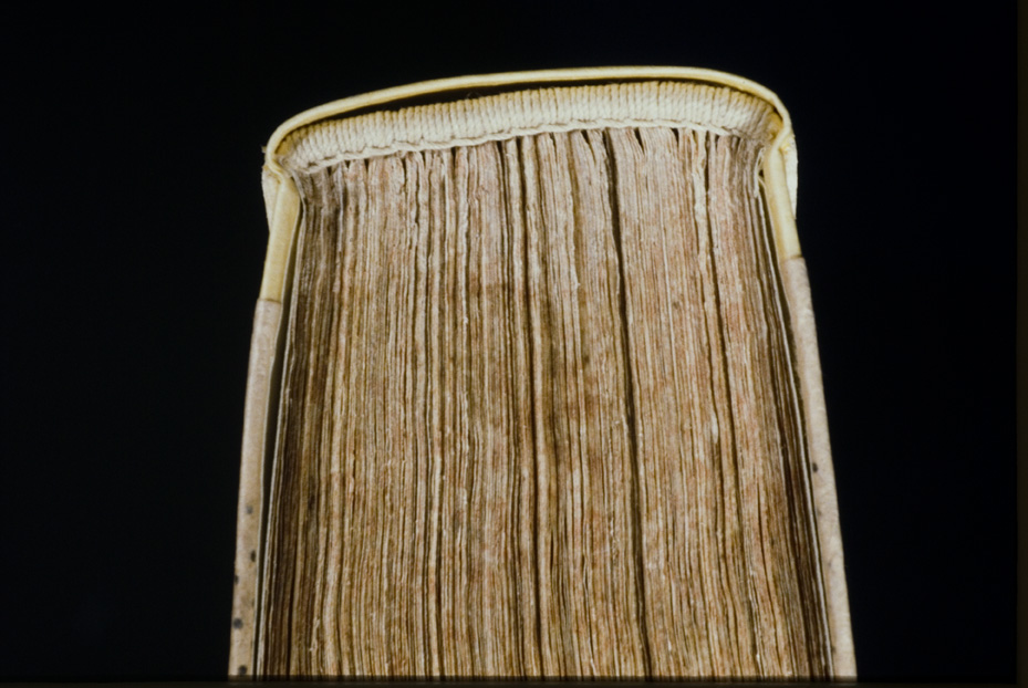 Roma, Monastero di San Sebastiano alle Catacombe, Ms. 88
icpal_19518
Keywords: 1396/1993, Monastero S. Sebastiano Catacombe Ms. 88, Monastero S. Sebastiano Catacombe