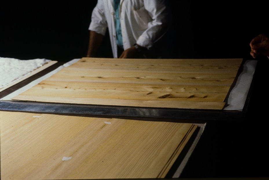 Custodia in legno per la conservazione degli Exultet. Cassino, Biblioteca Statale del Monumento Nazionale di Montecassino. Roma, ICPL
icpal_19860
Keywords: 1422/1993-1434-1435-1436-1474/1994, ICPL Custodia conservaz. Exultet, ICPL
