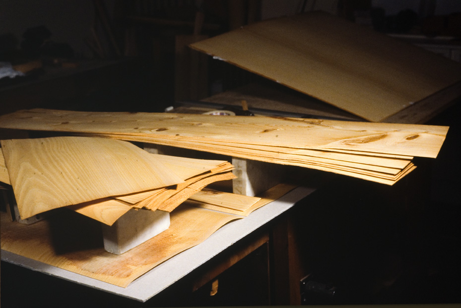 Custodia in legno per la conservazione degli Exultet. Cassino, Biblioteca Statale del Monumento Nazionale di Montecassino. Roma, ICPL
icpal_19864
Keywords: 1422/1993-1434-1435-1436-1474/1994, ICPL Custodia conservaz. Exultet, ICPL