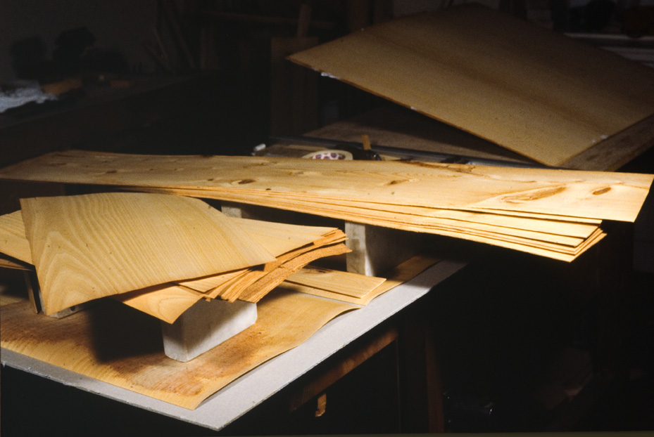 Custodia in legno per la conservazione degli Exultet. Cassino, Biblioteca Statale del Monumento Nazionale di Montecassino. Roma, ICPL
icpal_19868
Keywords: 1422/1993-1434-1435-1436-1474/1994, ICPL Custodia conservaz. Exultet, ICPL