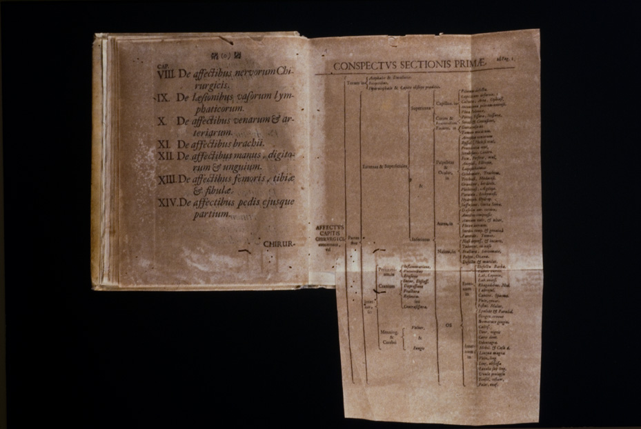 Roma, Biblioteca Medica Statale, D 985
icpal_22178
Keywords: 1498/1995, 1498.1/1995, Medica Statale D 985, Medica Statale