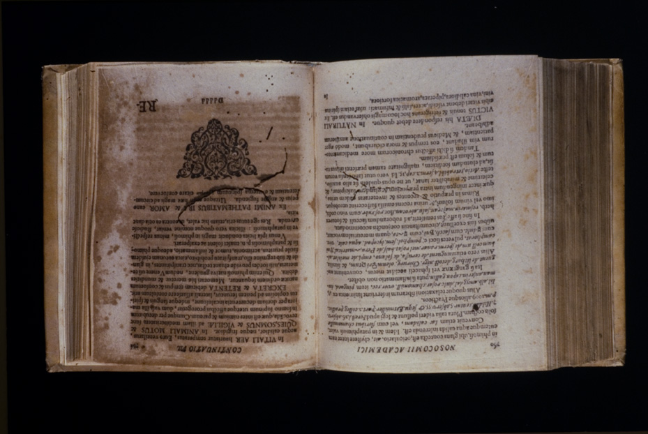 Roma, Biblioteca Medica Statale, D 985
icpal_22181
Keywords: 1498/1995, 1498.1/1995, Medica Statale D 985, Medica Statale