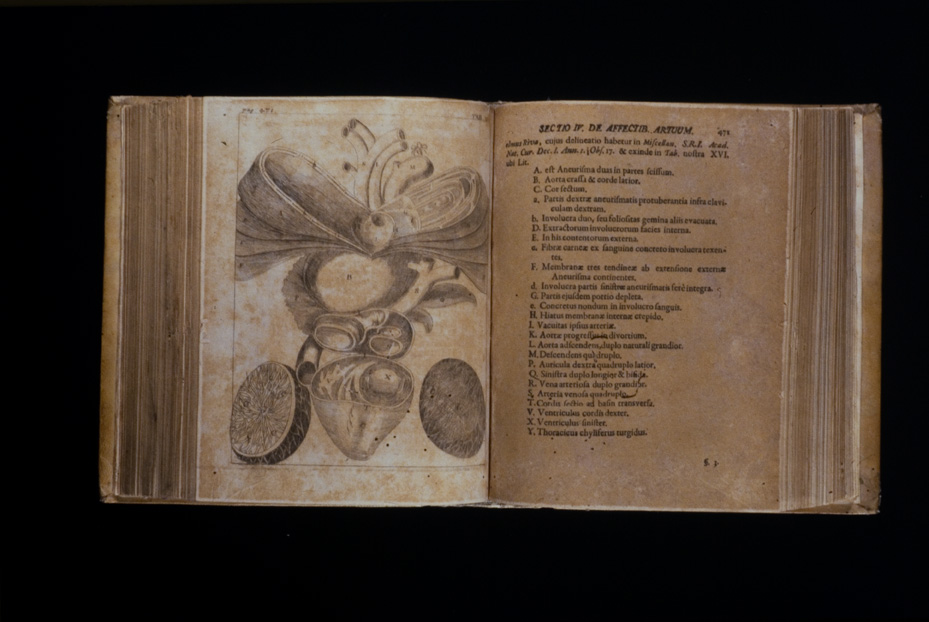Roma, Biblioteca Medica Statale, D 985
icpal_22182
Keywords: 1498/1995, 1498.1/1995, Medica Statale D 985, Medica Statale