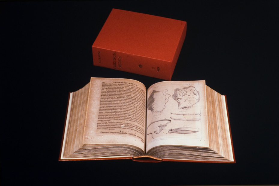Roma, Biblioteca Medica Statale, D 985
icpal_22203
Keywords: 1498/1995, 1498.1/1995, Medica Statale D 985, Medica Statale