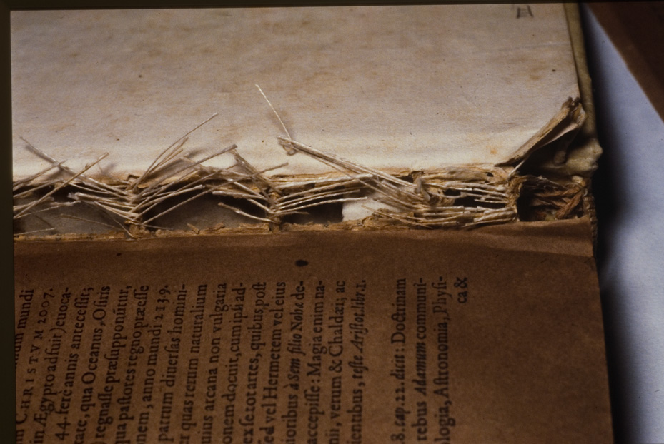 Roma, Biblioteca Medica Statale, S.RARI 17.B 18
icpal_23179
Keywords: 1498/1995, 1498.2/1995, Medica Statale S.RARI 17.B 18, Medica Statale