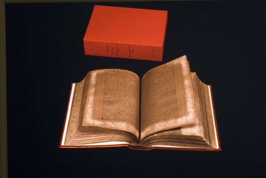 Roma, Biblioteca Medica Statale, S.RARI 17.B 18
icpal_23191
Keywords: 1498/1995, 1498.2/1995, Medica Statale S.RARI 17.B 18, Medica Statale