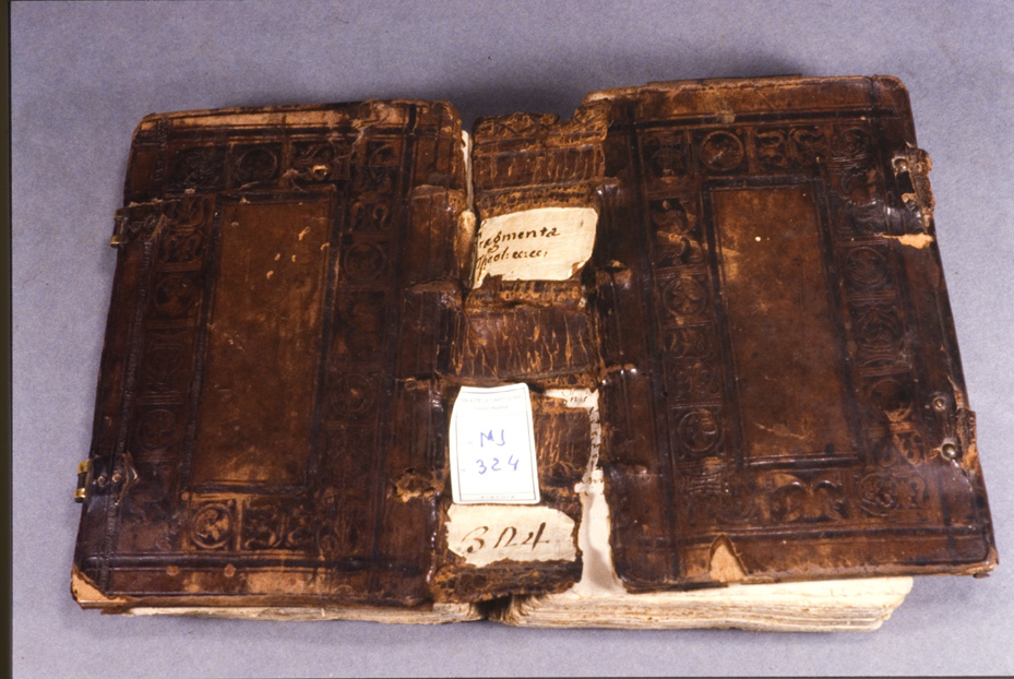 Pistoia, Biblioteca Fabroniana, Ms. 324
icpal_21298
Keywords: 1509/1995, 1509.3/1995, Fabroniana Ms. 324, Fabroniana