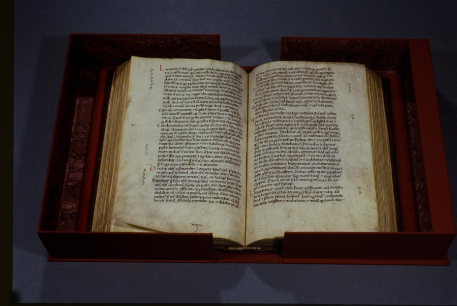 Pistoia, Biblioteca dell'Archivio Capitolare, C. 116
icpal_20519
Keywords: 1510/1995, 1510.1/1995, ACap Pistoia C. 116, ACap Pistoia