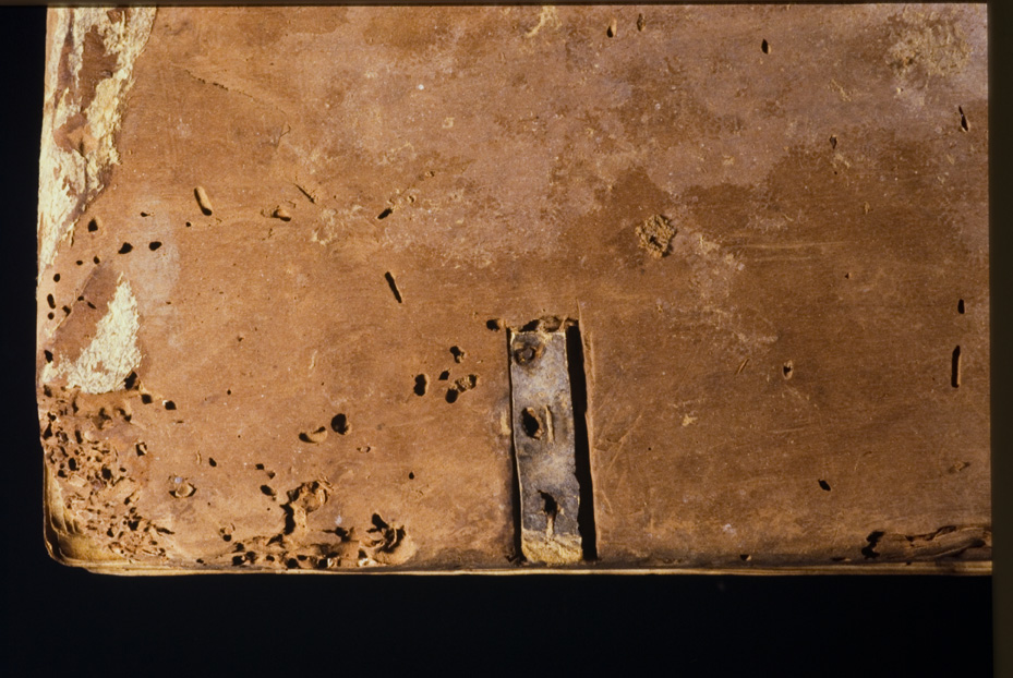 Pistoia, Biblioteca dell'Archivio Capitolare, C. 157
icpal_20597
Keywords: 1510/1995, 1510.2/1995, ACap Pistoia C. 157, ACap Pistoia