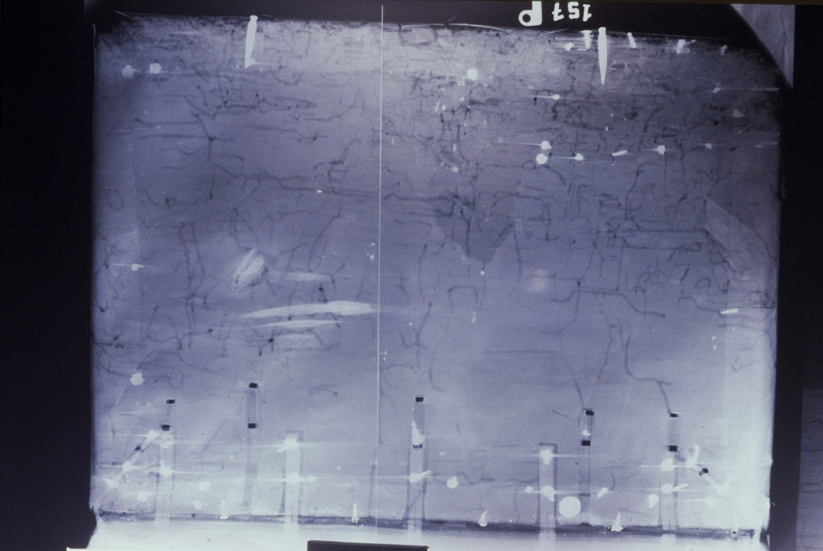 Radiografia. Pistoia, Biblioteca dell'Archivio Capitolare, C. 157
icpal_20742
Keywords: 1510/1995, 1510.2/1995, ACap Pistoia C. 157, Radiografie, ACap Pistoia