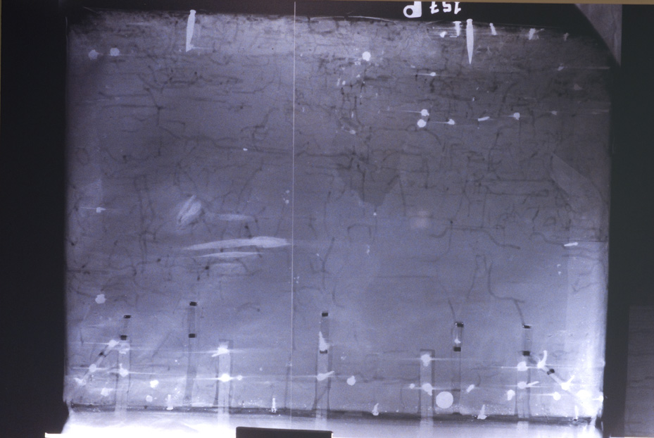 Radiografia. Pistoia, Biblioteca dell'Archivio Capitolare, C. 157
icpal_20744
Keywords: 1510/1995, 1510.2/1995, ACap Pistoia C. 157, Radiografie, ACap Pistoia